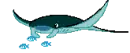 swimming ray