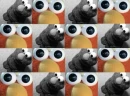 Elmo 