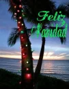 Feliz Navidad