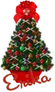 Red Missmis Tree, Erika