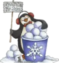snow
