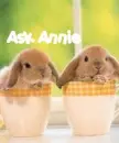 Ask Annie