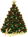 Christmas tree- Kenia