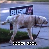 good dog