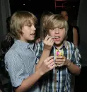 dylans prouse