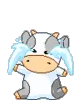 Cow baby