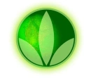 Herbalife