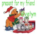 present for my friend evelyn