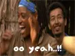 Survivor Funny  