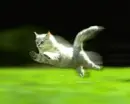 lolflying