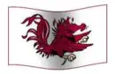 Carolina Gamecocks!!!