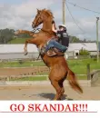Skandar