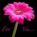 Flower for you