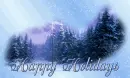 Happy Holidays