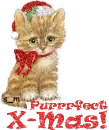 purrrfect X-Mas!