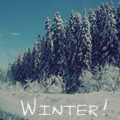 Winter again!