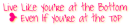 Jonas Quote
