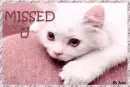 miss u
