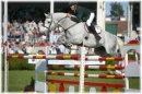 Pretty Horses
