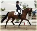 Pretty Horses