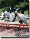 Pretty Horses