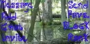 Swamp