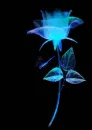 blue