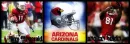 Cardinals
