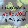 i punched werwolf
