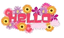 Hello Flowers