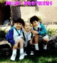 mini jonas brothers