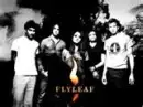 FLYLEAF