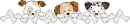 Dogs