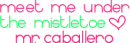 mr. caballero