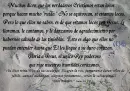 Alaba a Jesus