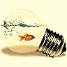 Light bulb fish