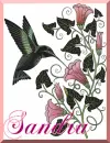 Sandra-hummingbird w/h border