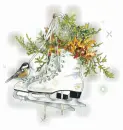 iceskates