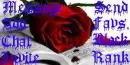 Red Rose