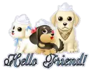 Hello