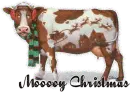 Moooy Christmas