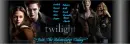 Twilight Banner