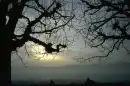 lovely view