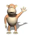 animal