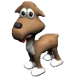 animal