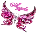 Aggela