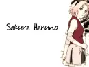 Sakura