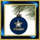 Dallas Cowboy's Bulb