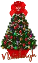 Red Missmis Tree, Nataleigh
