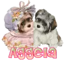 Aggela